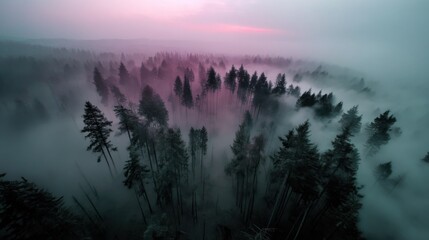 Aufkleber - Aerial View of Forest in Fog at Dusk, Representing Serenity and Environmental Conservation With a Sense of Mystery : Generative AI