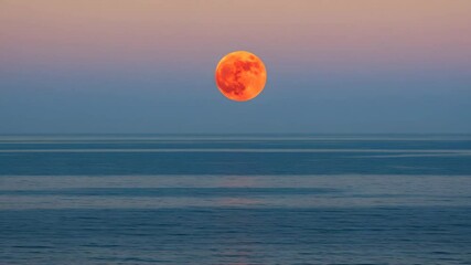 Wall Mural - Orange Full Moon Over Calm Sea At Dusk With Gradient Blue And Pink Sky Reflecting on Water
