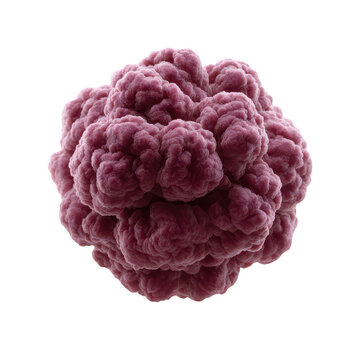 A detailed rendering of a textured cellular structure with a soft, puffy appearance, showcasing intricate formations against a white background, ideal for educational visuals.