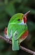 © StarNax - the green parrot