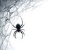 © Sasint - Halloween corner web with hanging spider, fine web structure, isolated on white background