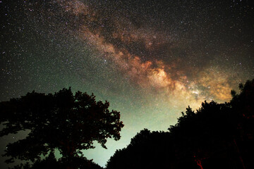 Wall Mural - beautiful night landscape, bright milky way galaxy on the starry sky., over the trees and mountains.