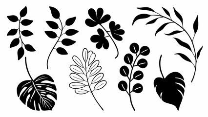 Poster - Collection of various black and white botanical illustrations of leaves and branches on white backdrop created with generated ai