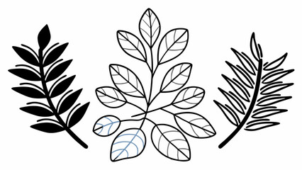 Aufkleber - Three hand drawn branches with different leaf styles in black and white botanical illustration art created with generated ai