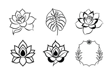 Wall Mural - Vector flower design elements: a collection of floral illustrations, patterns, and decorative botanical silhouettes