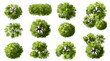 © Chanya_B - Vector set of Top view green tree for outdoor plan or map and architecture drawing, elements for environment and garden ,botanical elements ,Blooming flowers in spring,tropical plants element