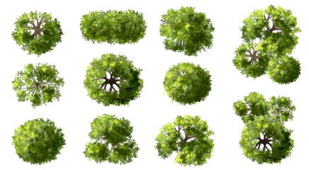 Wall Mural - vector set of top view green tree for outdoor plan or map and architecture drawing, elements for env