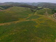 © Vladimir - Hilly terrain with different vegetation, for grazing horses and livestock. The view from the drone. Summer.