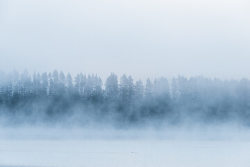 Naklejka na meble Mist envelops a serene lake surrounded by dense forest in Sweden during early morning hours