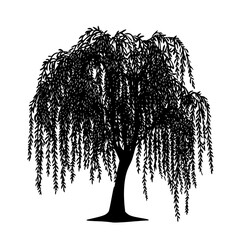 a black and white silhouette of a willow tree black, silhouette, tree, willow tree , generative art.