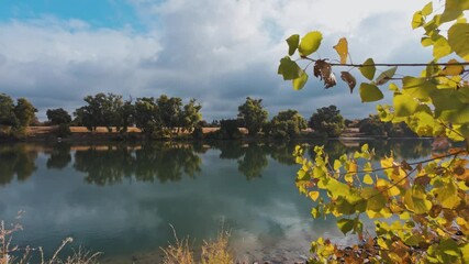 Wall Mural - Calm river reflects autumn trees under a partly cloudy sky with golden leaves in the foreground