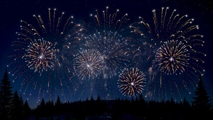 Wall Mural - fireworks are lit up in the night sky above a forest