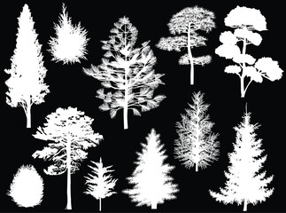 Wall Mural - different trees eleven silhouettes isolated on black