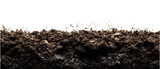 Cross section of soil with grass roots isolated on transparent background