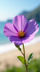 Poster - A close-up shot of a vibrant purple flower growing amidst the sandy dunes of a beach
