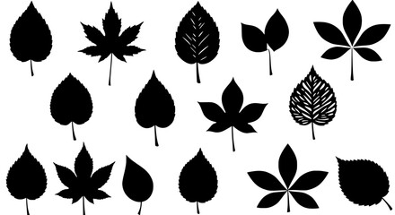 Fototapete - Leaf Silhouettes: A captivating collection of diverse leaf silhouettes, each showcasing unique shapes, textures, and forms, a versatile resource for nature-inspired design and botanical illustrations.