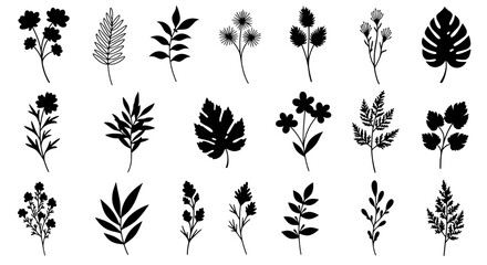 Fototapete - Botanical Silhouettes: A collection of various silhouettes of botanical elements, offering versatility in design, from intricate ferns to exotic leaves.