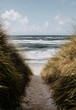 © Alexej - A pathway to the beach is captured in a vertical shot at the ocean's edge