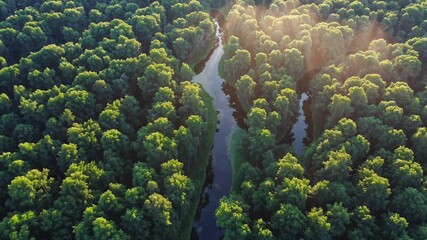 Aufkleber - Aerial view of lush forest and winding river during golden hour at a serene nature location