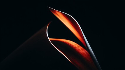 Aufkleber - Fiery abstract botanical beauty in dark