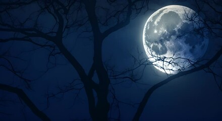 Wall Mural - a large full moon shines through the leaves of a tree at night 4k