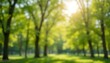 © Iqbal - Blurred Green Tree Park Nature Background with Bokeh Light for Spring and Summer Season Banner Design