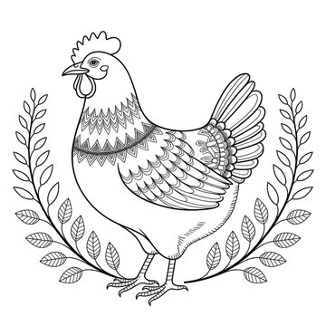 A hen illustration line art of a coloring page 