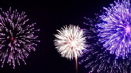 Poster - Colorful fireworks exploding in the night sky