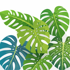 Poster - An eye-catching vector illustration featuring overlapping vibrant green and blue monstera leaves with intricate fenestrations against a clean white background.
