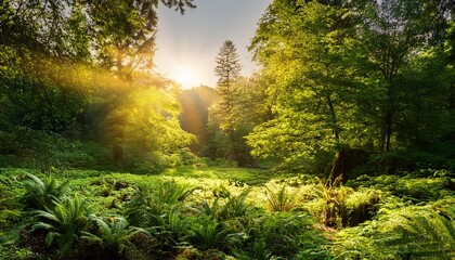 lush greenscape sunlight
