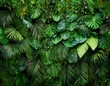 © Amy - lush green wall covered in various types of foliage