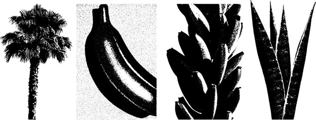 Poster - Minimalist botanical illustrations with stippling and halftone texture