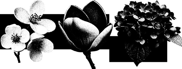 Poster - Minimalist floral designs with engraving and halftone techniques for artistic projects