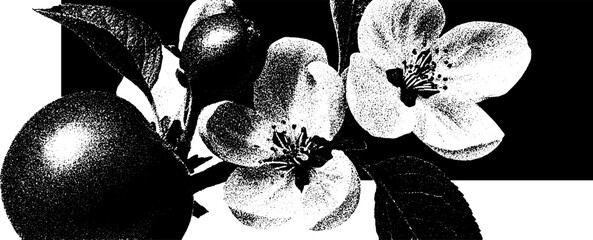 Poster - Minimalist botanical illustration with stippling and halftone texture
