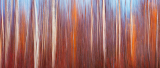 Aufkleber - Abstract art autumn background with red blurred trees using camera movement for web banner template page design