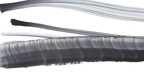 Poster - Abstract painting featuring bold black brush strokes on a white canvas creating a dynamic contrast
