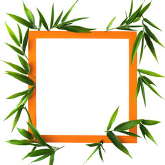 Poster - Bamboo leaves framing a blank orange border for creative display and design inspiration, Image orange frame among bamboo leaves isolated on white background