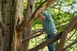 © Elena - Child Climbing Tree with Enthusiastic Expression