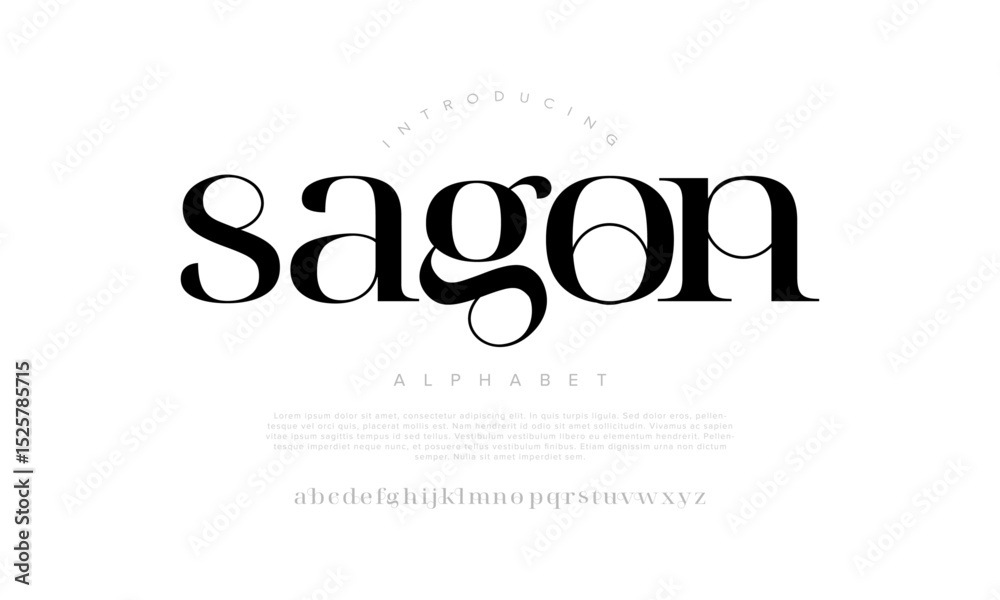 Serife Stylish modern serif font with elegant curves and unique ligatures ...