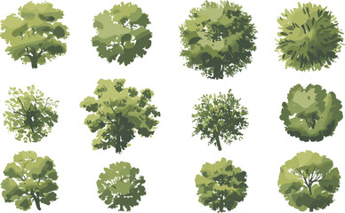 top view green trees, landscape foliage collection, tree crown illustration, garden design elements,