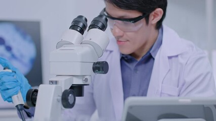 Wall Mural - asian researcher using a microscope in the clinical lab.male researcher working in the clinical labo