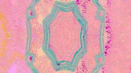 Poster - Abstract colorful geometric pattern background with vibrant hues and intricate shapes in a digital design