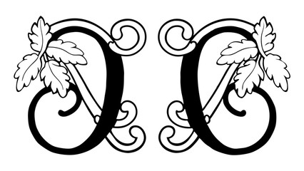 Poster - Two mirrored decorative letter d designs with floral leaf accents in black and white illustration style created with generated ai