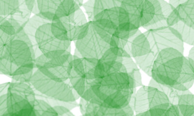 Aufkleber - Green Abstract Geometric Pattern Background | Modern Circular Designs for Digital Art, Graphic Design, and Creative Projects
