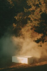 Aufkleber - Minimalist Cold-Plunge Tub in Forest Clearing with Steaming Breath and Golden Backlight - Wellness Trend for Mindful Outdoor Relaxation