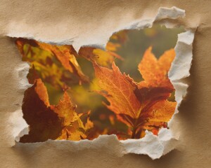 Poster - Torn Paper Frame with Vintage Fiber Texture Revealing Autumn Maple Leaves in Warm Light for Rustic Seasonal Design and Crafting Trend Applications