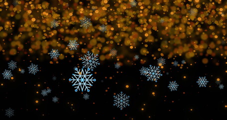 Poster - Image of snowflakes over light spots on black background