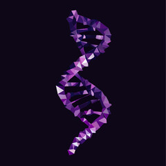Poster - Low poly style DNA double helix structure with geometric purple triangles on dark background for science and genetics concept vector illustration