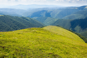 Wall Mural - rolling scenery with grassy alpine meadow. smooth grassy highland. scenic carpathian mountain landsc