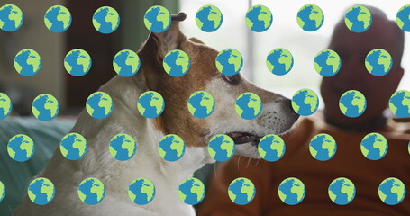 Poster - Image of globe icons over dog